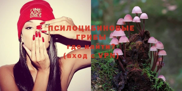 винт Алексин