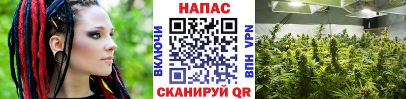 hydra зеркало Апрелевка МАРИХУАНА OG Kush наркотики